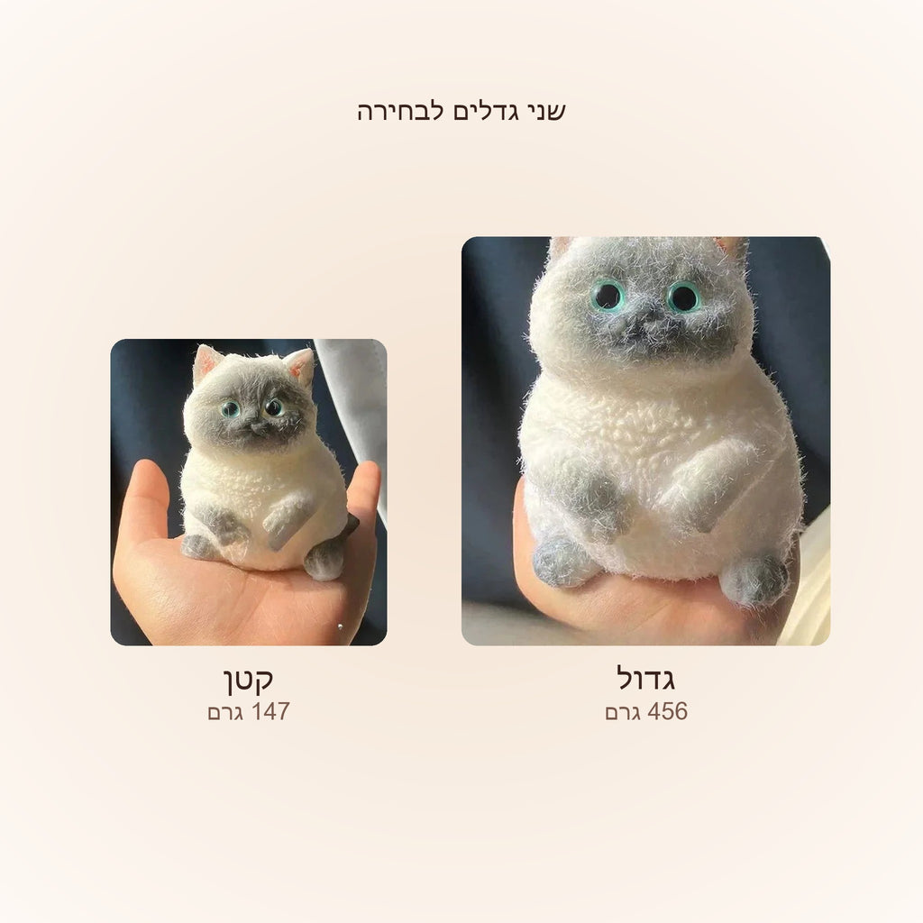 השוואת גדלים — חתול קטן 147 גרם מול חתול גדול 456 גרם