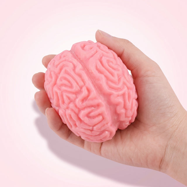 מוח קפיצי 🧠 — סקוויש מצחיק
